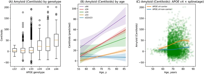 Figure 1. Association between APOE genotype, age, and amyloid burden.