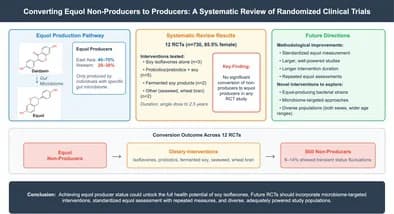 Graphical abstract