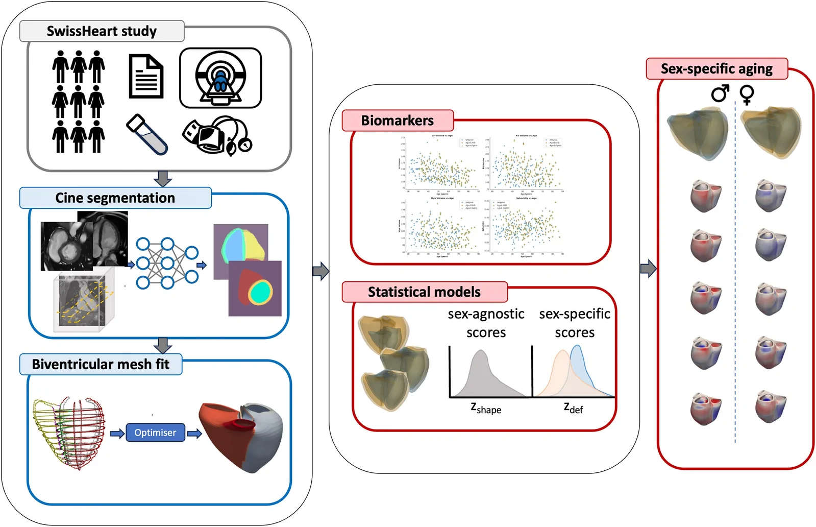 Graphical abstract