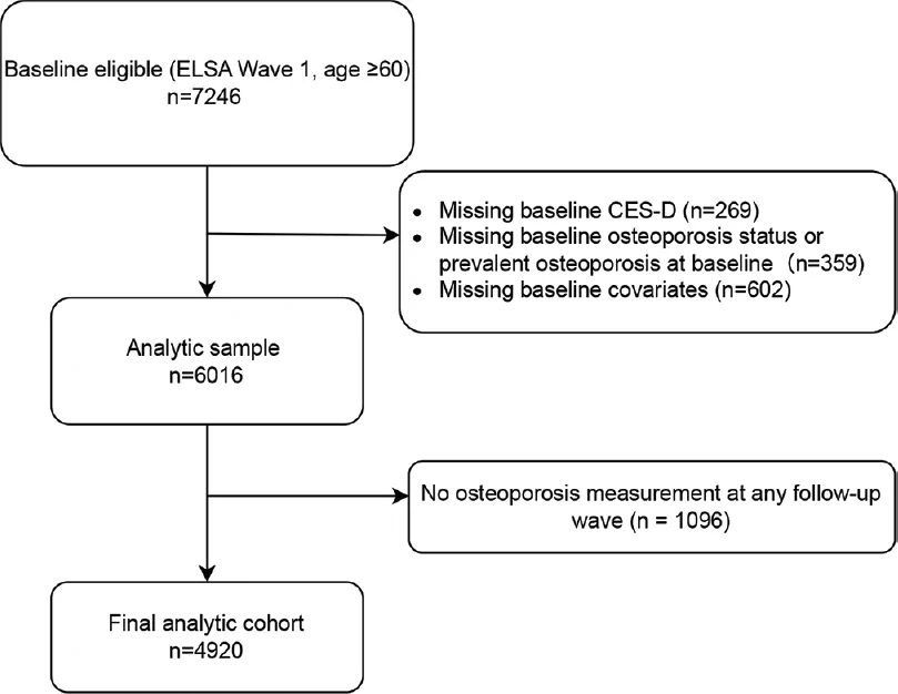 Figure 1. Flow of participants through the study: eligibility, sequential exclusions, and final analytic cohort