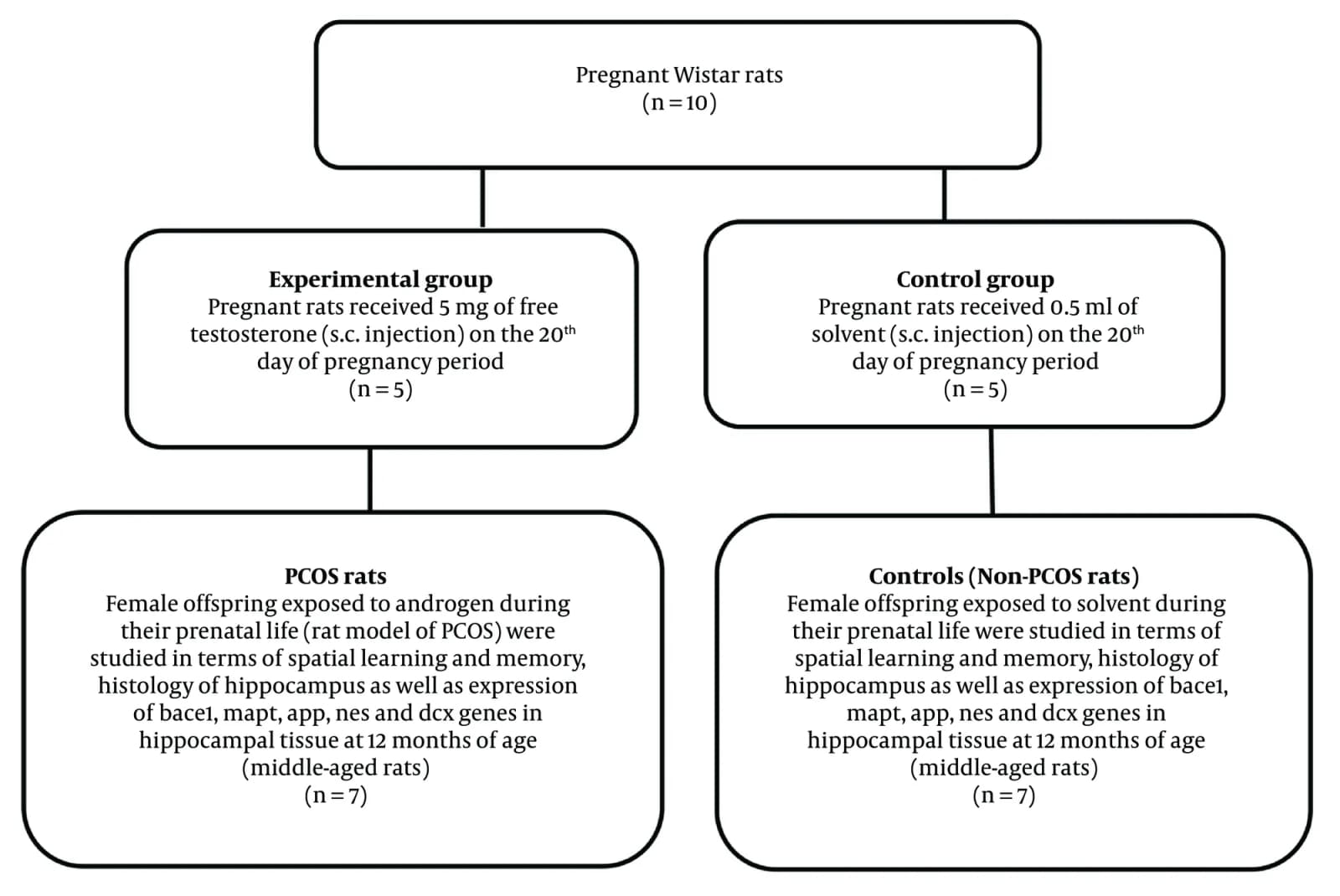 Figure 1. Study flowchart. Solvent sesame oil and benzyl benzoate at a ratio of 4:1.