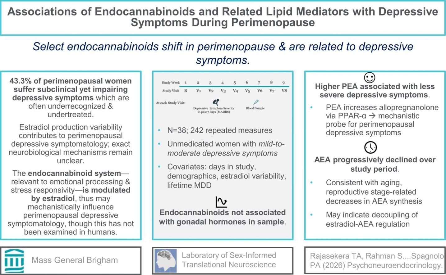 Graphical abstract from Psychoneuroendocrinology