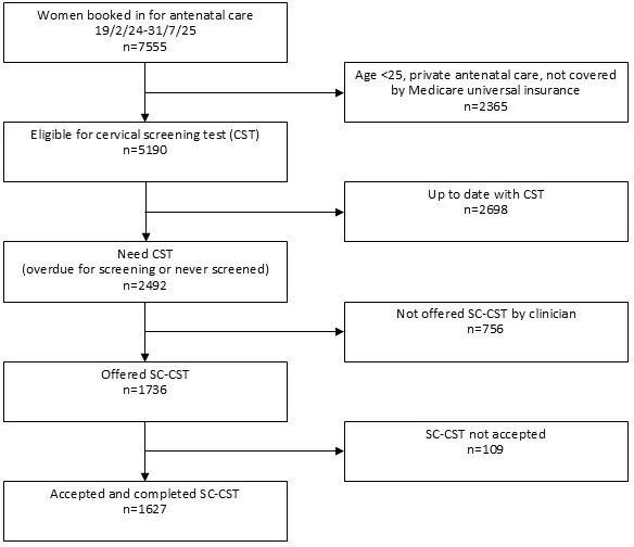 Figure 1. Flow chart of participants who received cervical screening in antenatal care.