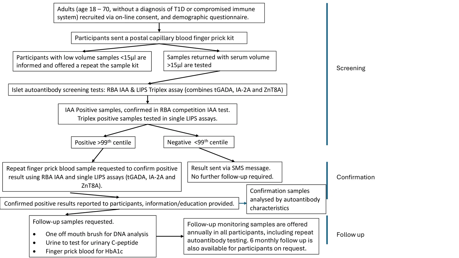Figure 1. Flow diagram showing the participant journey and sample testing procedure in the T1DRA (Type 1 diabetes risk in adults) study.