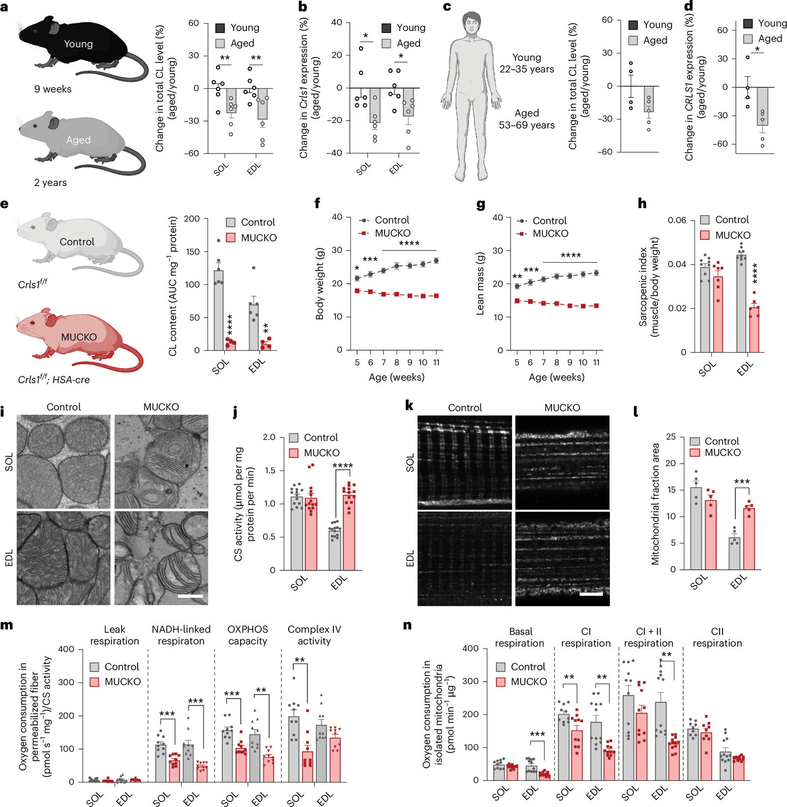 Figure 1 from Nature Aging
