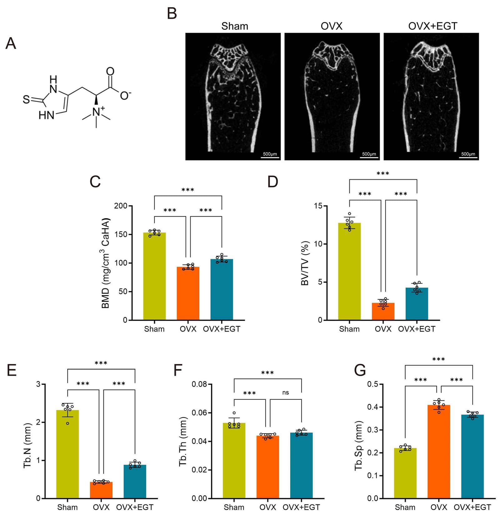 Figure from Frontiers in Bioscience