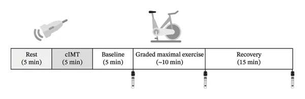 Experimental protocol and timeline.
