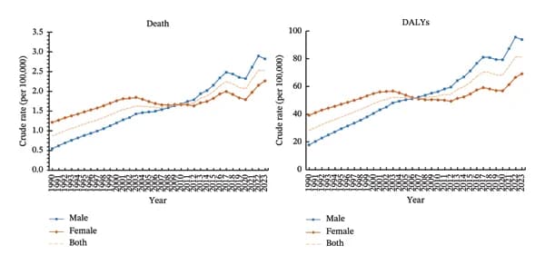 Figure 1. The crude rate of stroke death and DALYs caused by high BMI in Chinese population during 1990–2023.