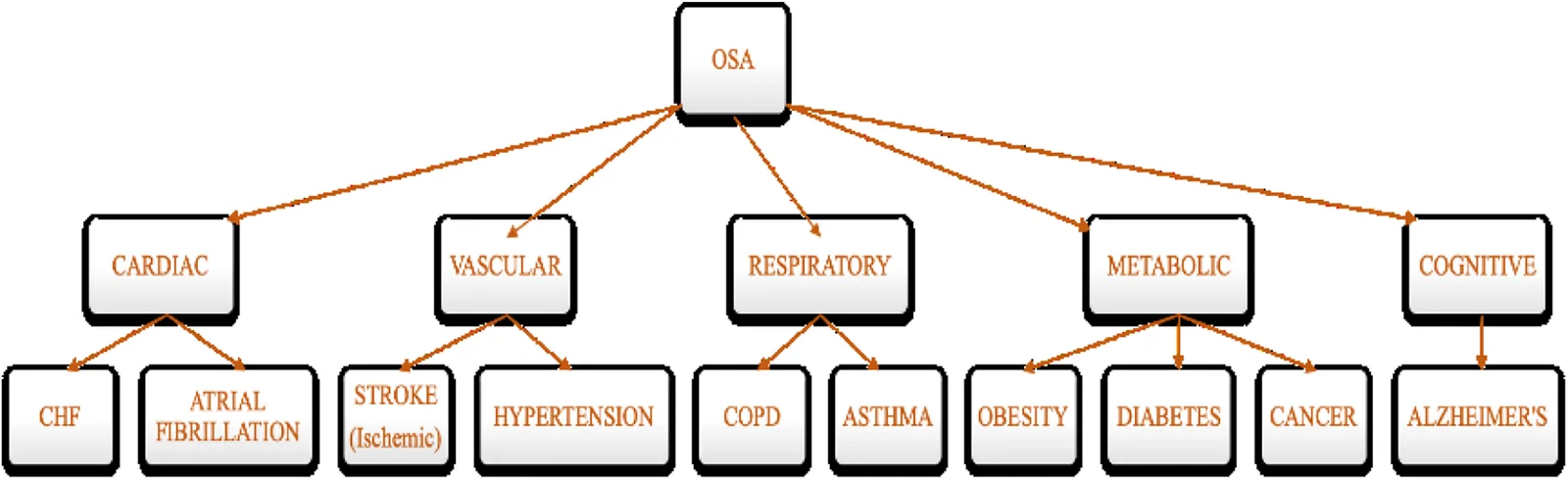 Fig 1. Obstructive sleep apnea and comorbidity.
