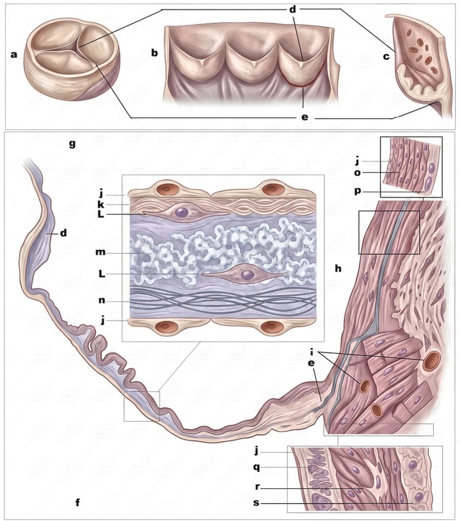 Figure 1 from Cryobiology