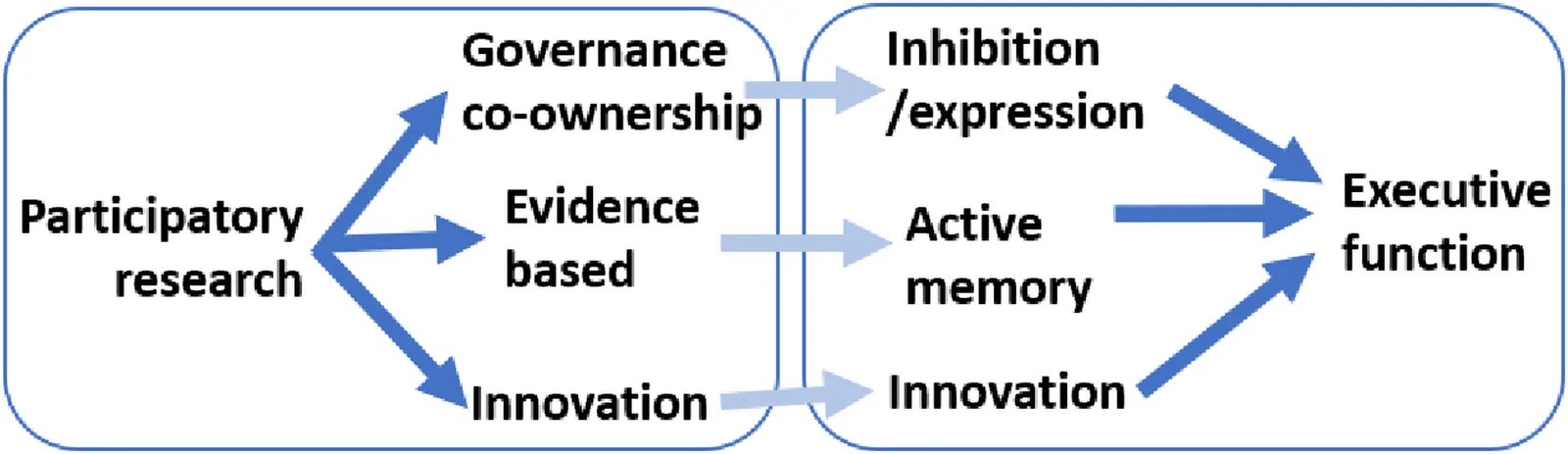 Alignment of elements of authentic participatory research with elements of executive function.
