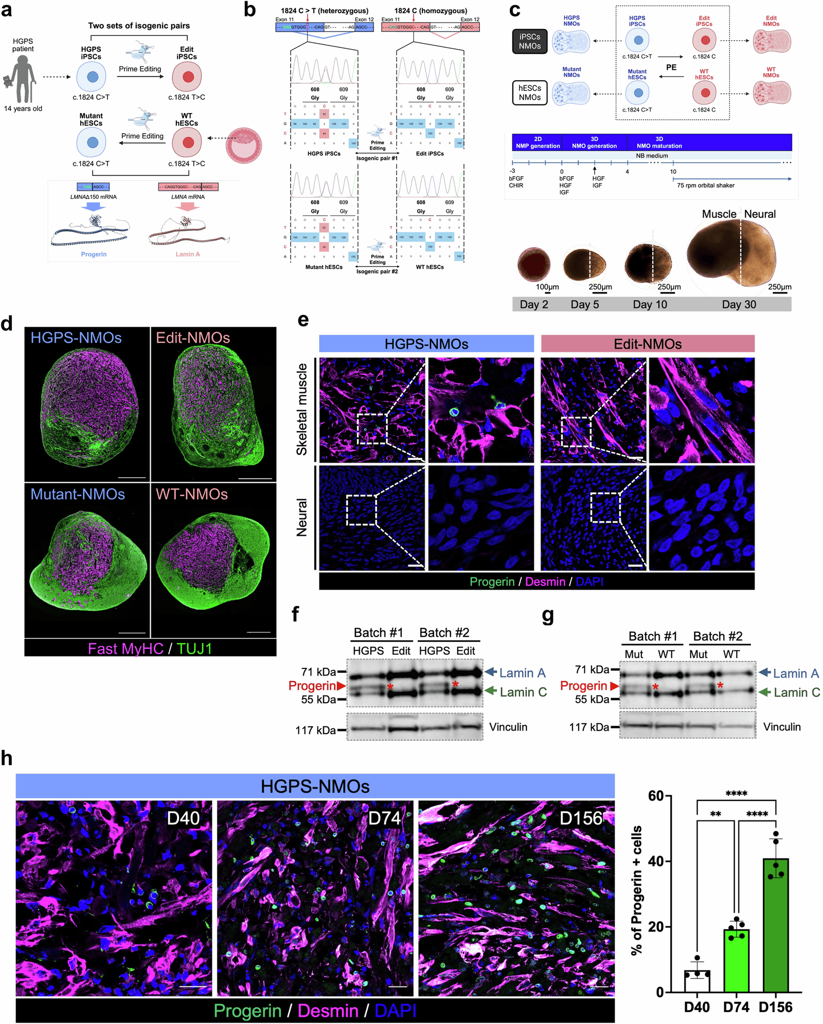 Figure 1 from Nature Communications