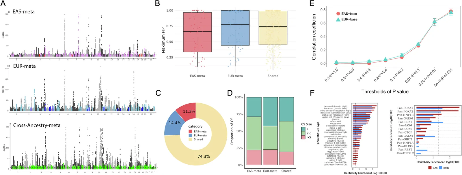 Fig. 1. Comparative analyses between GWASs in EAS and EUR revealed fine-scale genetic differences in T2D.