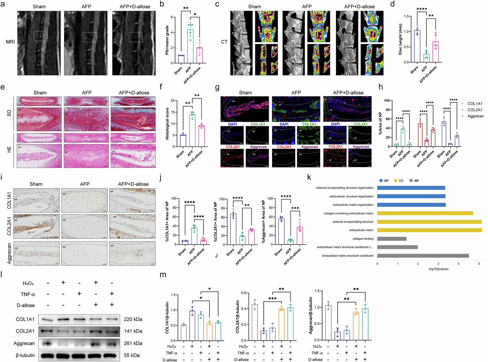 Figure 1 from Experimental & Molecular Medicine