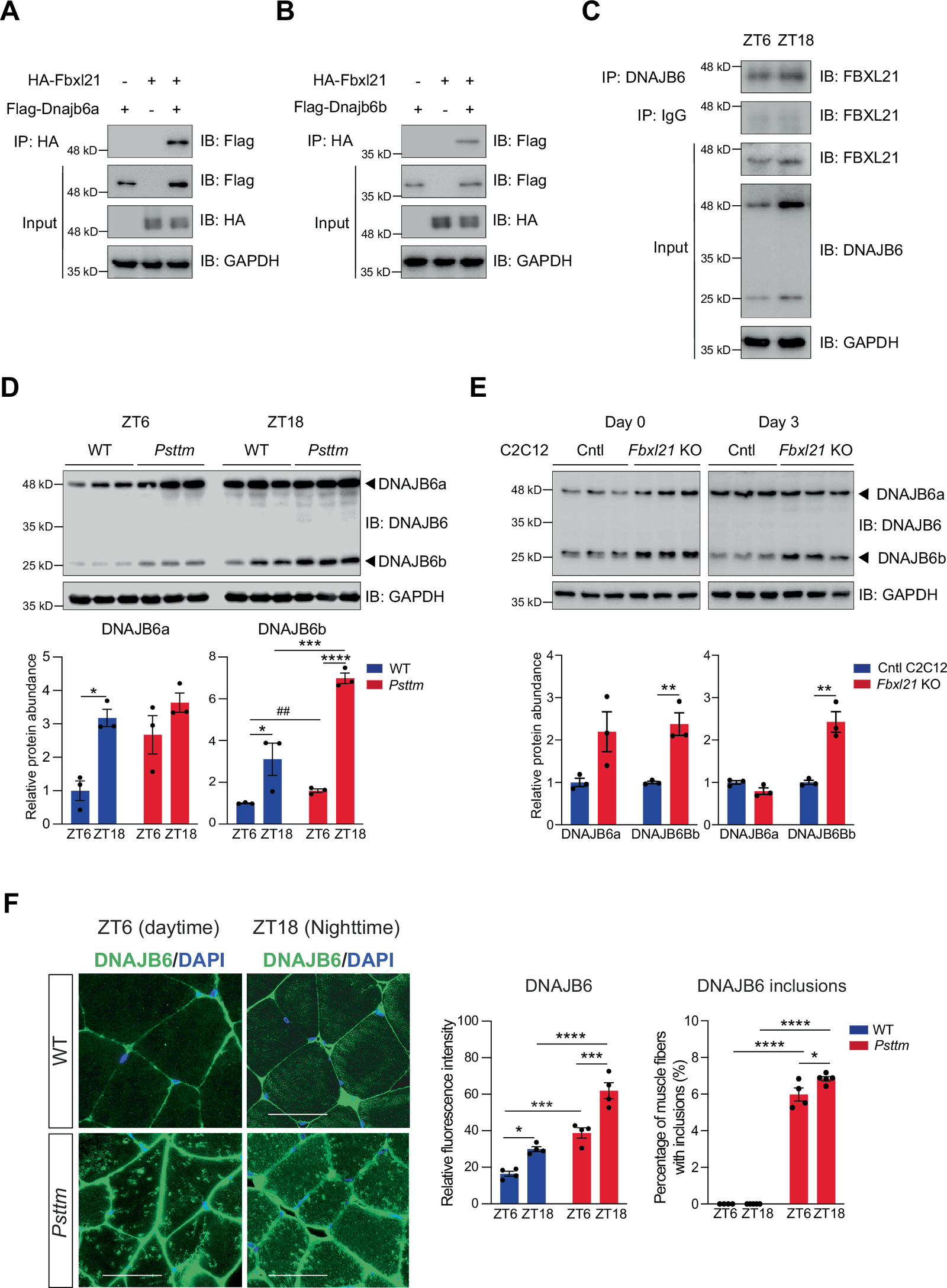 Figure 1 from EMBO Reports