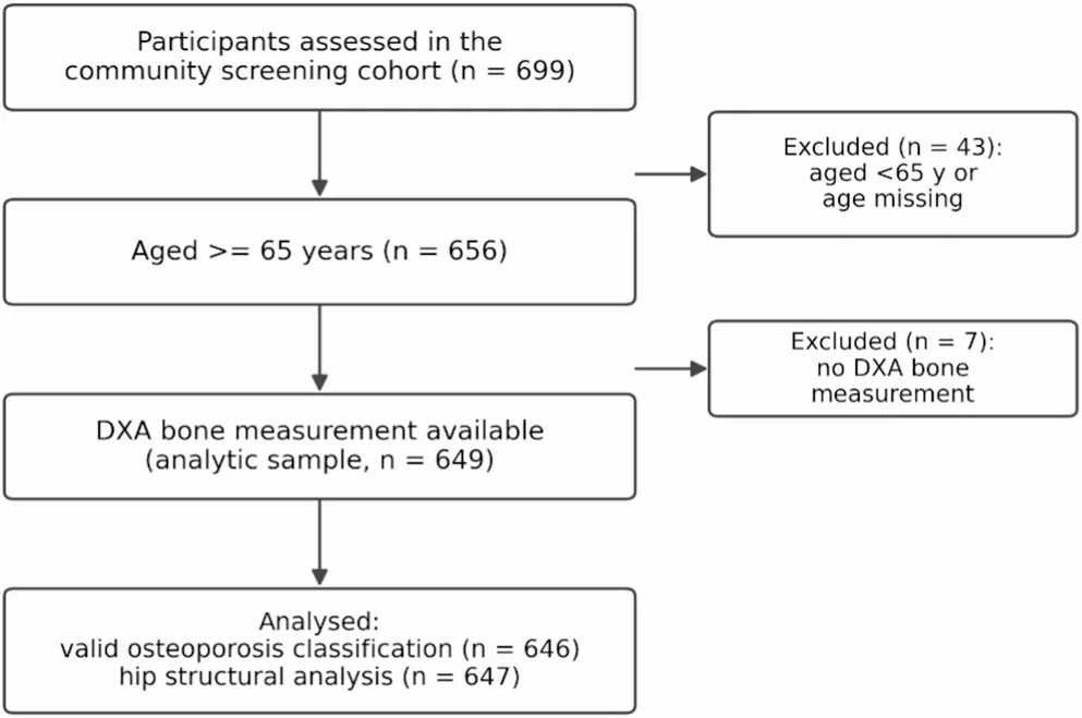 Fig. 1. Flow of participants through the study
