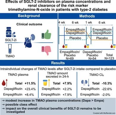 Graphical abstract from Endocrinology, Diabetes & Metabolism