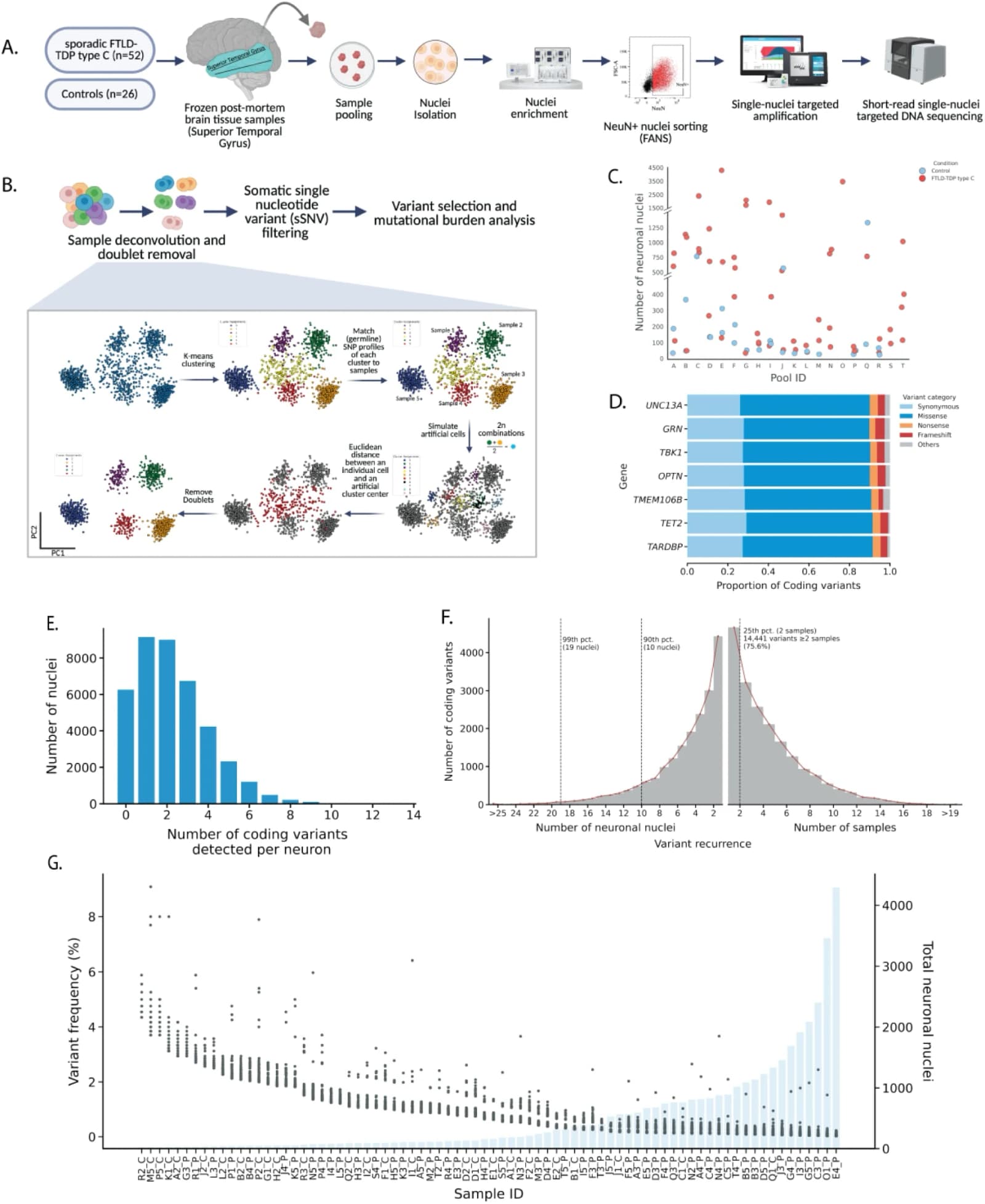 Study design, data processing and overview of somatic variants detected across FTLD-TDP-associated genes in single neurons from FTLD-TDP type C patients and neurologically healthy controls.