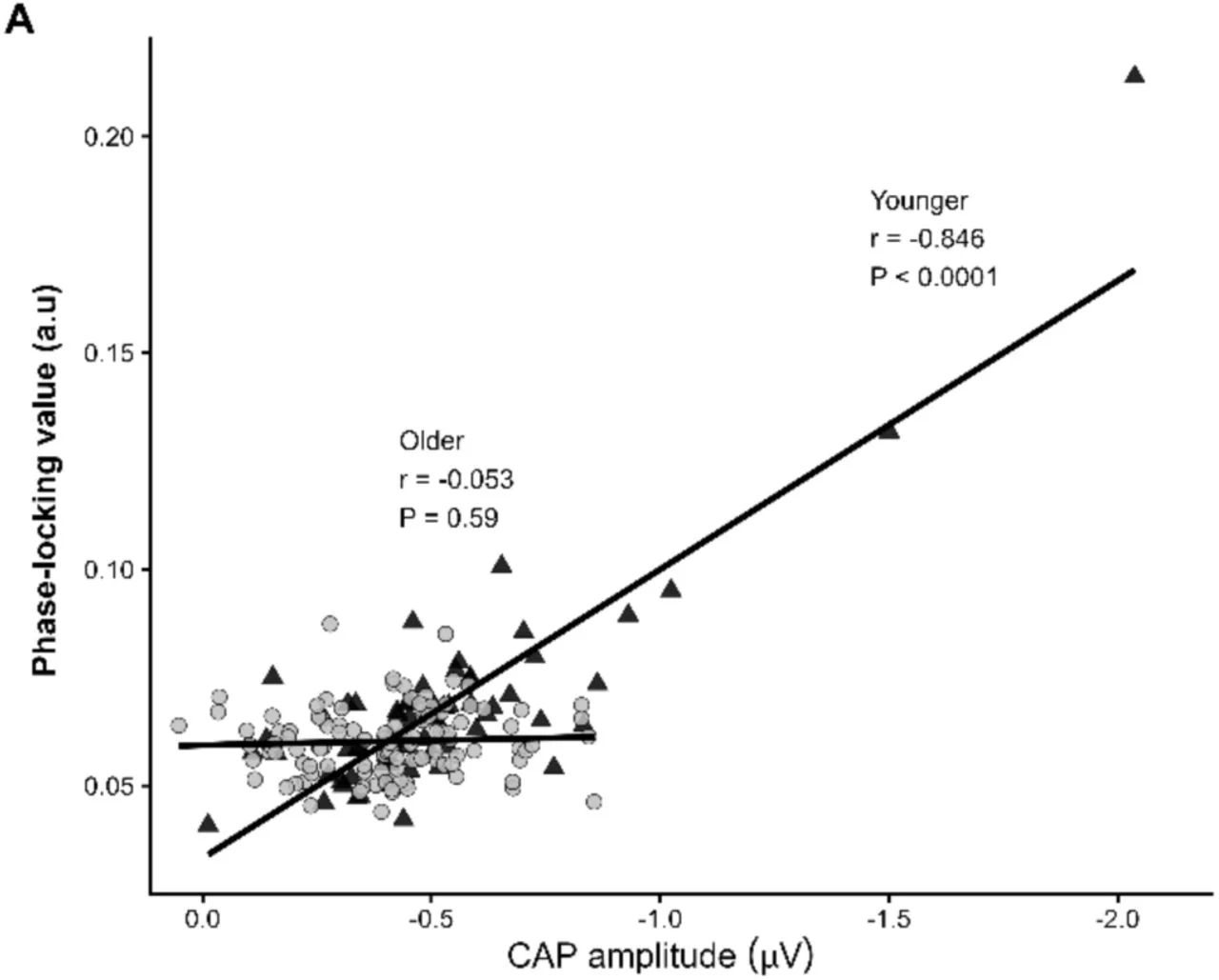 Aging modifies the association between auditory nerve response amplitude and neural synchrony.