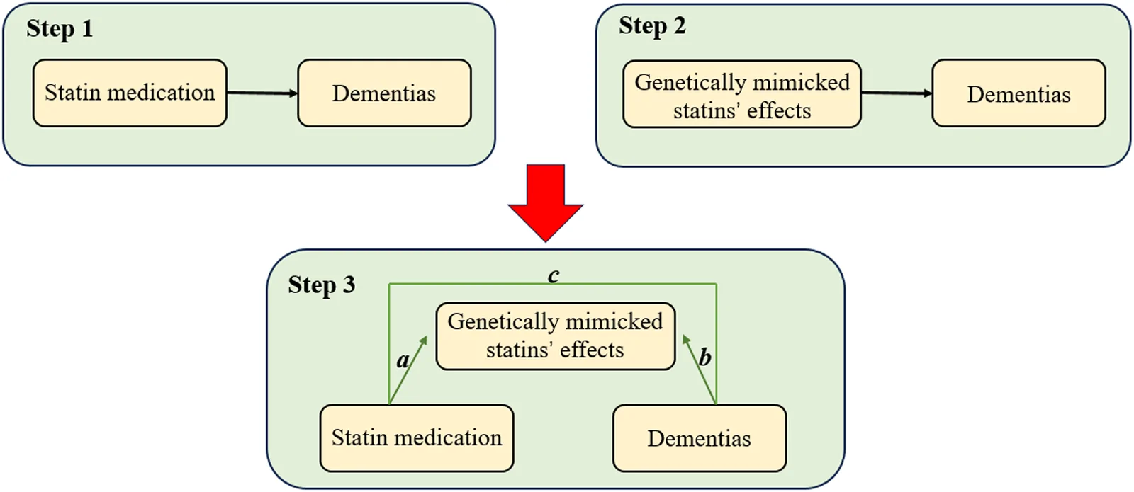 Figure 1. Study overview. Step 1 illustrates the causal relationships between statin medication and dementias.