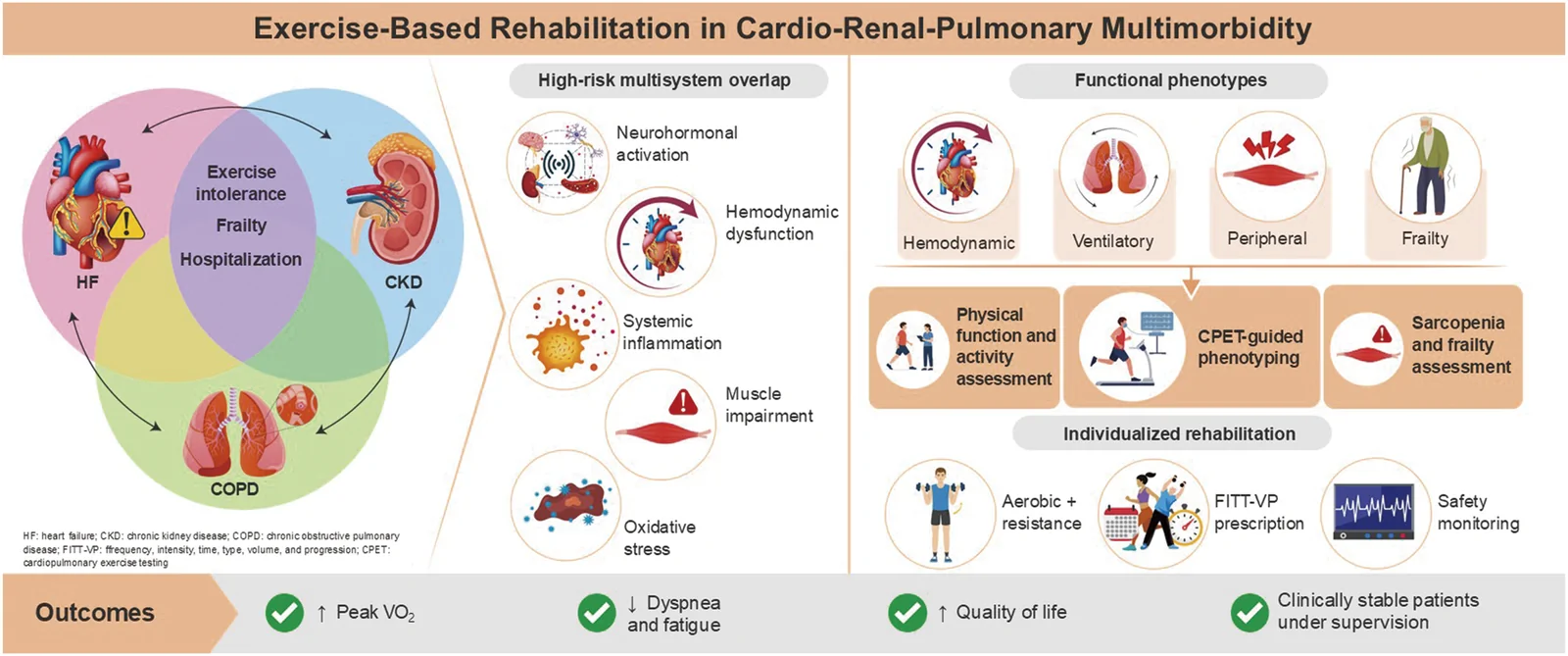 Fig. 1. Conceptual framework of cardio-renal-pulmonary multimorbidity and phenotype-guided, exercise-based rehabilitation.