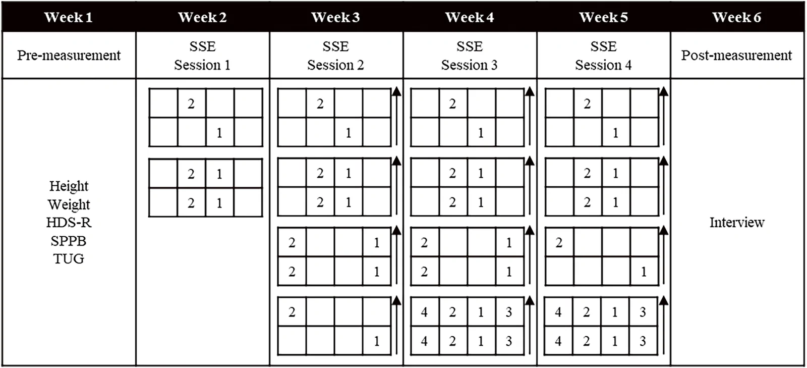 Fig. 1. Intervention and measurement protocols.