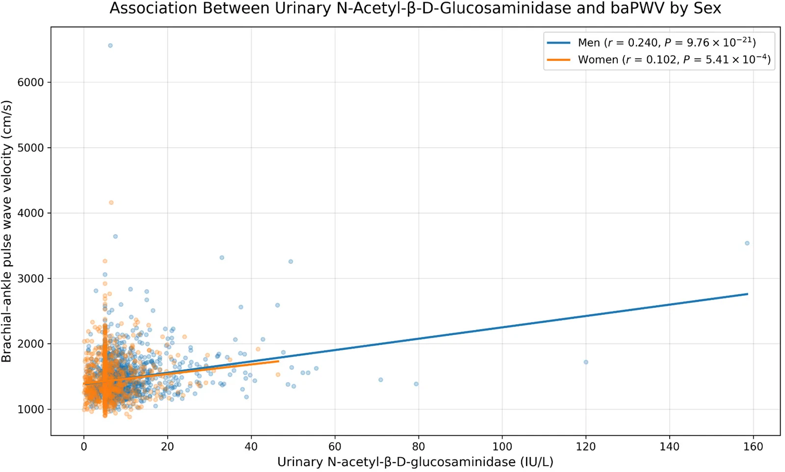 Figure 1. Association between urinary N-acetyl-β-D-glucosaminidase and brachial–ankle pulse wave velocity by sex.