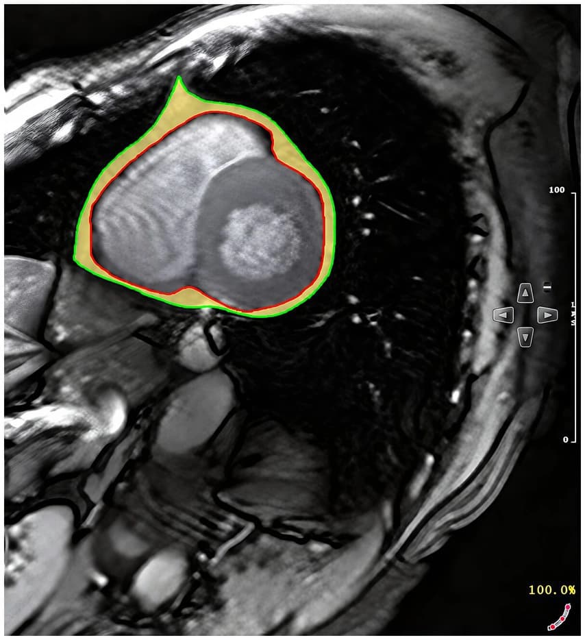 Figure 1 from Frontiers in Public Health