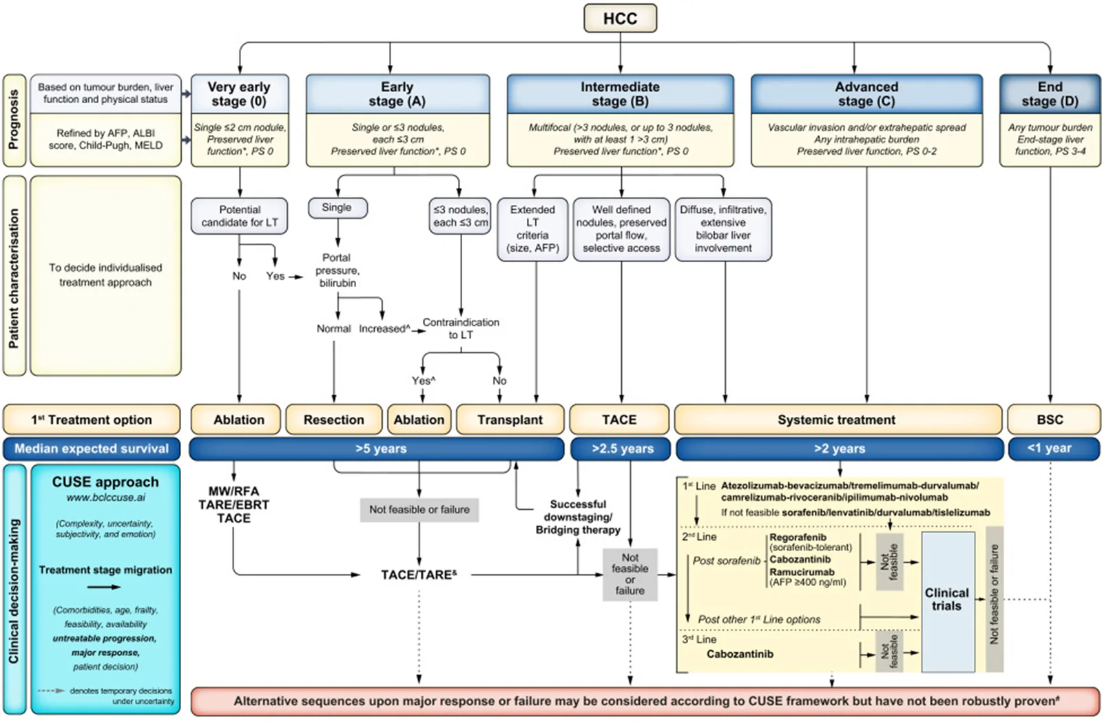 Fig. 1. The updated 2026 Barcelona Clinic Liver Cancer treatment strategy for HCC.⁵