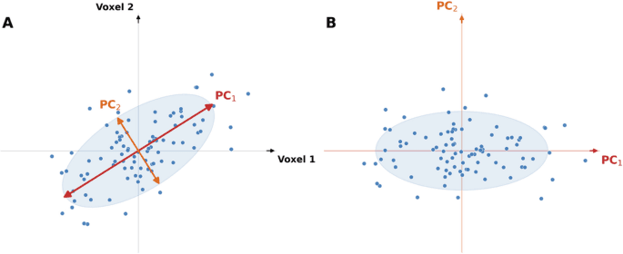 Figure 1 from Journal of Neurology