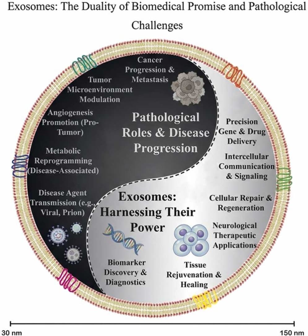 Graphical abstract from Biomedicine & Pharmacotherapy
