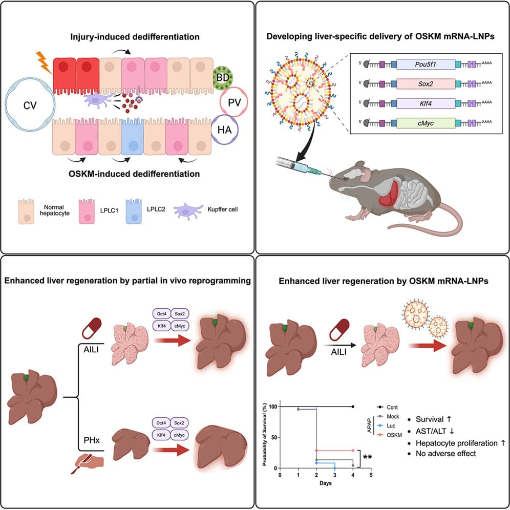 Graphical abstract from Cell Reports Medicine