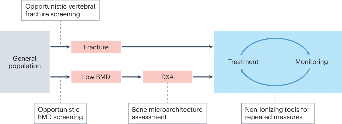 Figure 1 from Nature Reviews Rheumatology