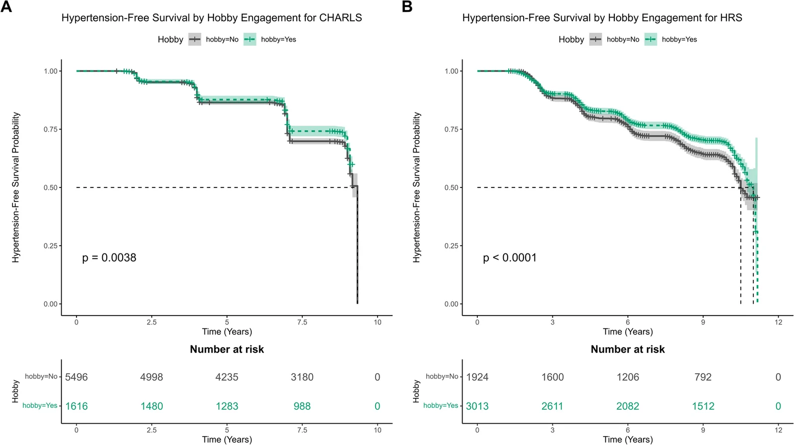 Fig. 1. Kaplan-Meier Curves of hypertension-free survival probability by hobby engagement in the CHARLS and HRS Cohorts: A CHARLS; B HRS
