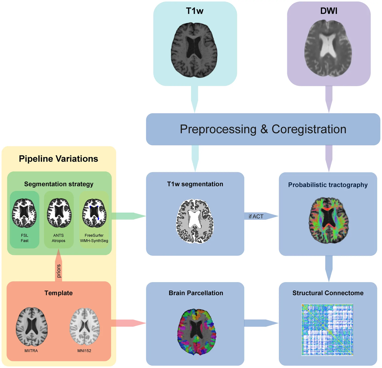 Fig. 1. Overview of the structural connectome reconstruction pipeline.