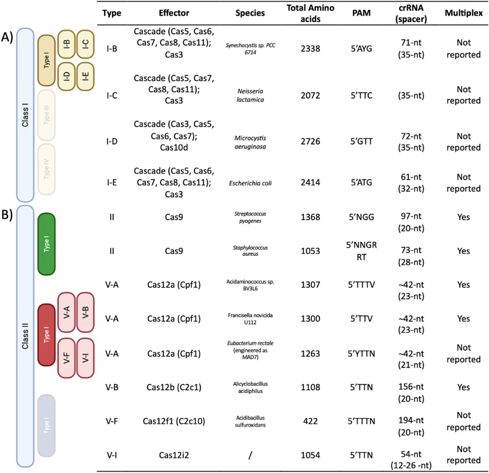 Fig. 1. Variety of CRISPR-Cas systems for genome editing in mammalian cells.