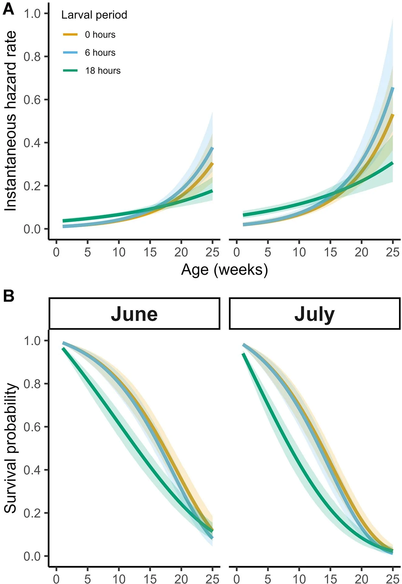 Figure 1. The effects of early-life stress (larval period) on the (A) the instantaneous hazard rate and (B) probability of survival of Bugula neritina colonies across their lifetime in the field.