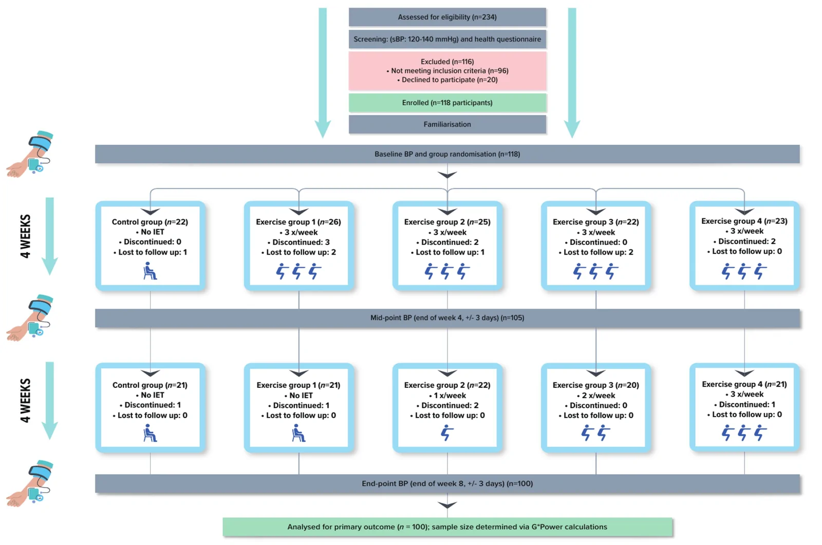 Figure 1. CONSORT flow diagram illustrating participant progression through the isometric exercise training trial, including screening, randomisation, group allocation and follow-up over 8 weeks.