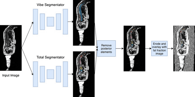 Figure 1 from Skeletal Radiology