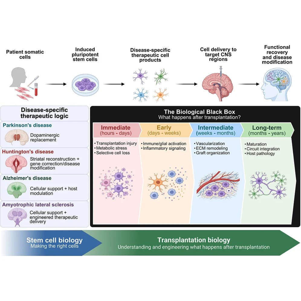 Graphical abstract from Cell Reports Medicine