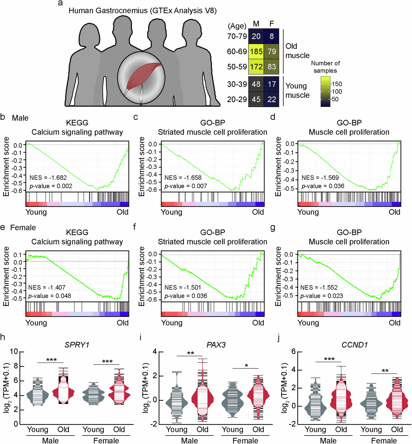Figure 1 from Experimental & Molecular Medicine