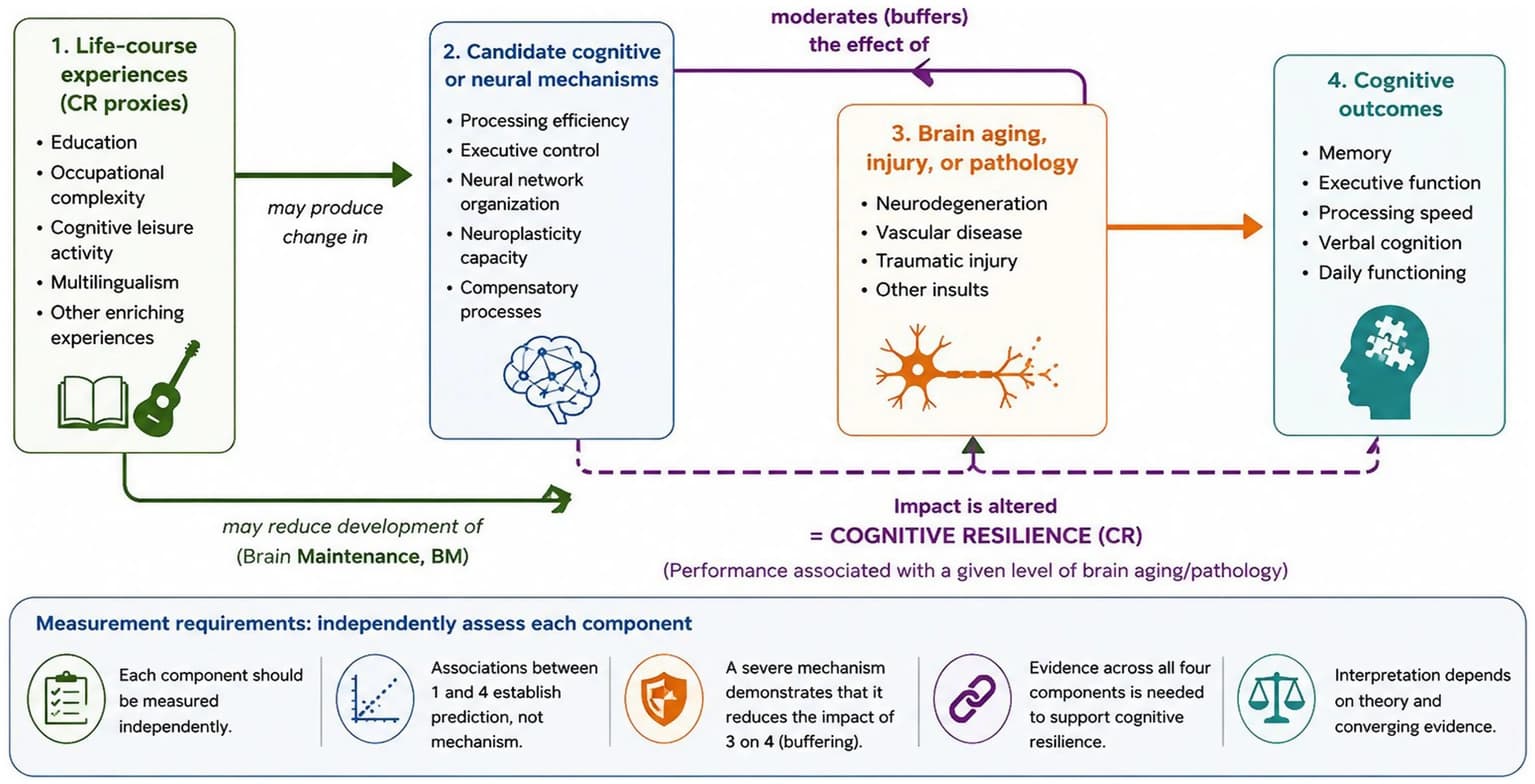 Figure 1 from Frontiers in Psychology