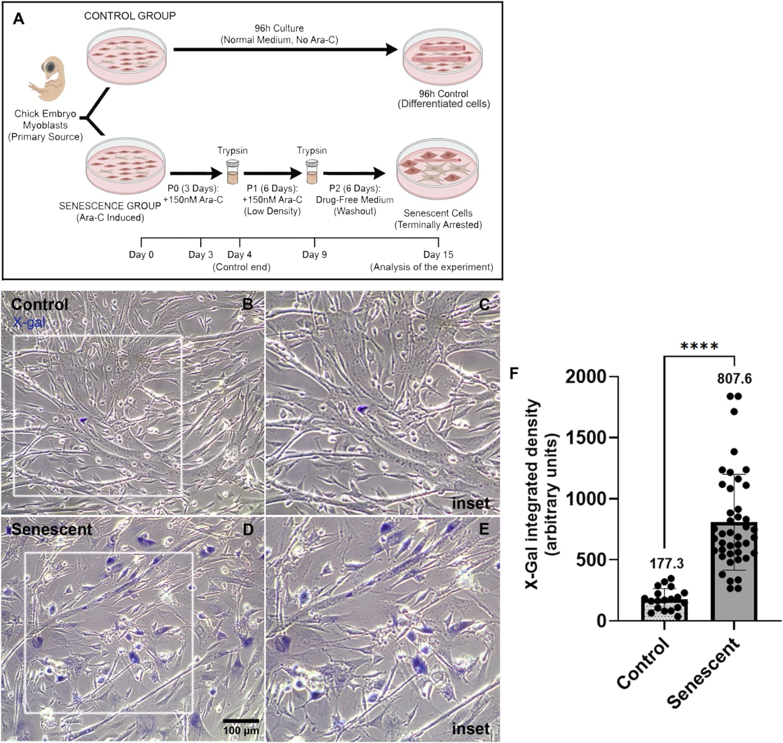 Figure 1 from Frontiers in Aging