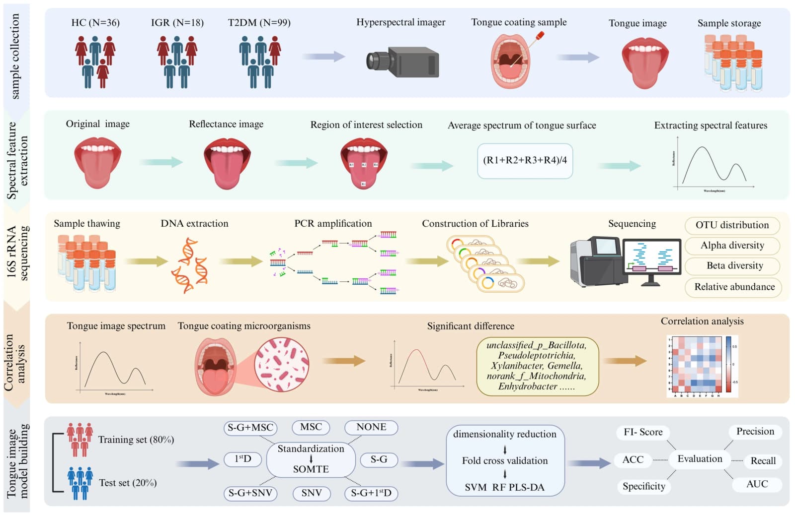 Figure 1 from Frontiers in Endocrinology