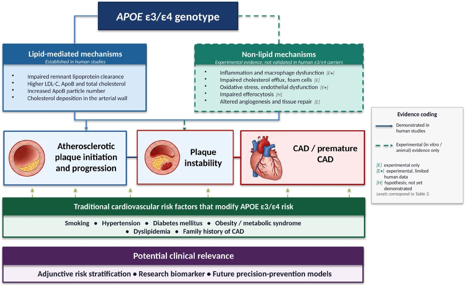 Figure 1 from Frontiers in Cardiovascular Medicine