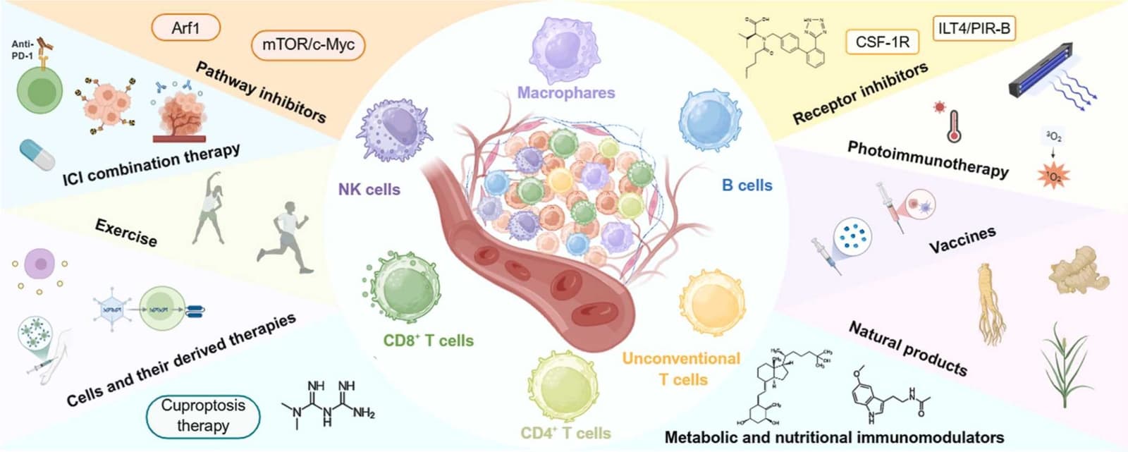 Graphical abstract from Critical Reviews in Oncology/hematology