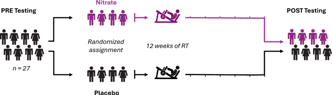 Figure 1 from European Journal of Applied Physiology