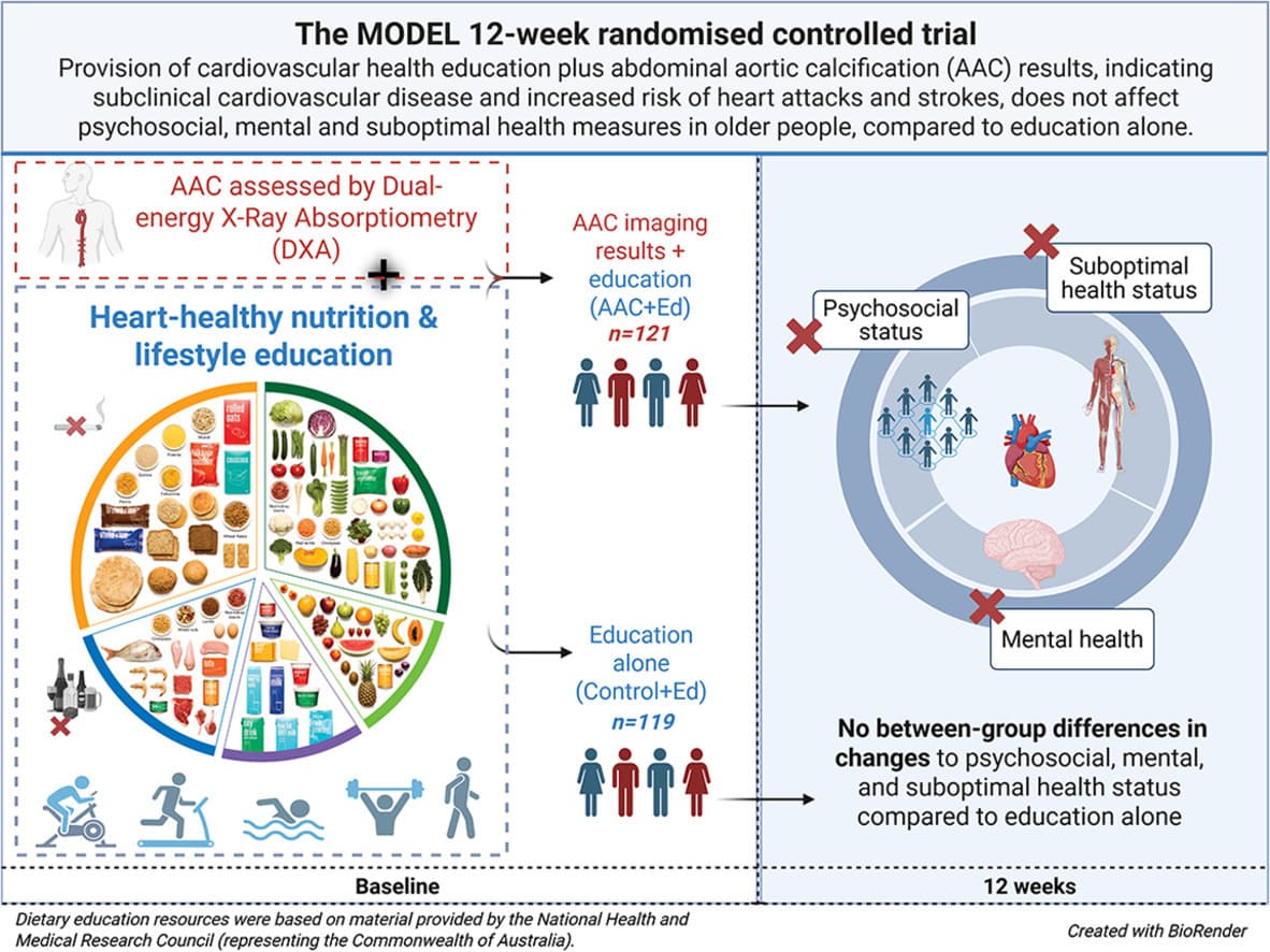 Graphical abstract from AJPM Focus
