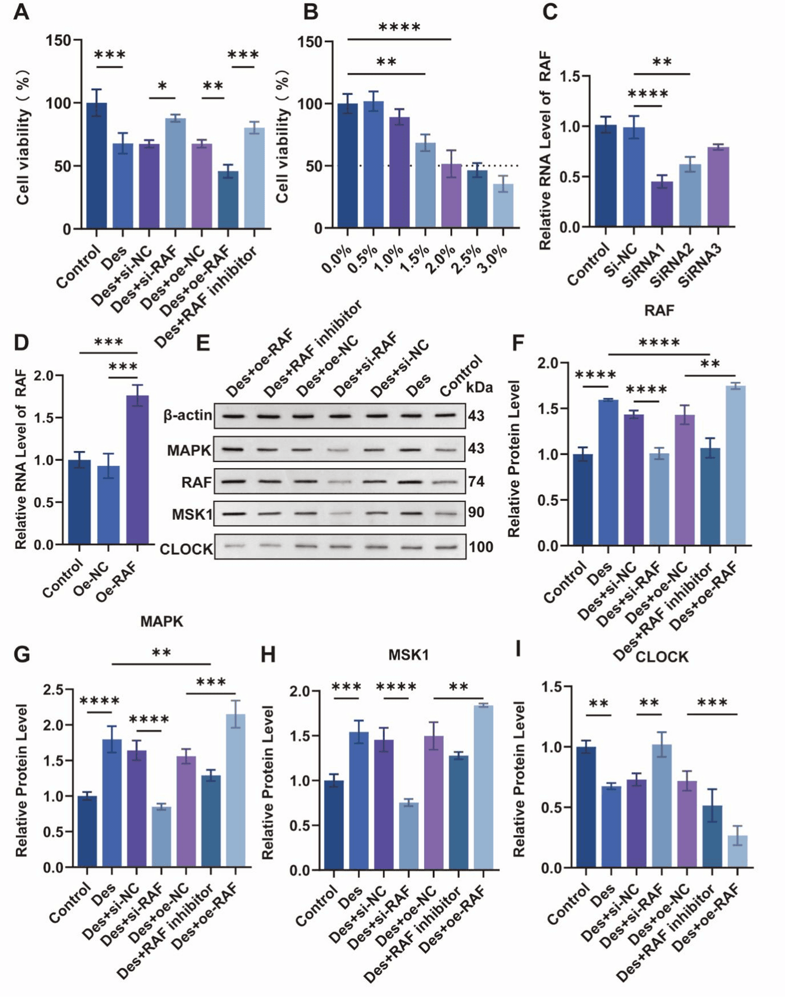 Figure 1 from Neurochemical Research