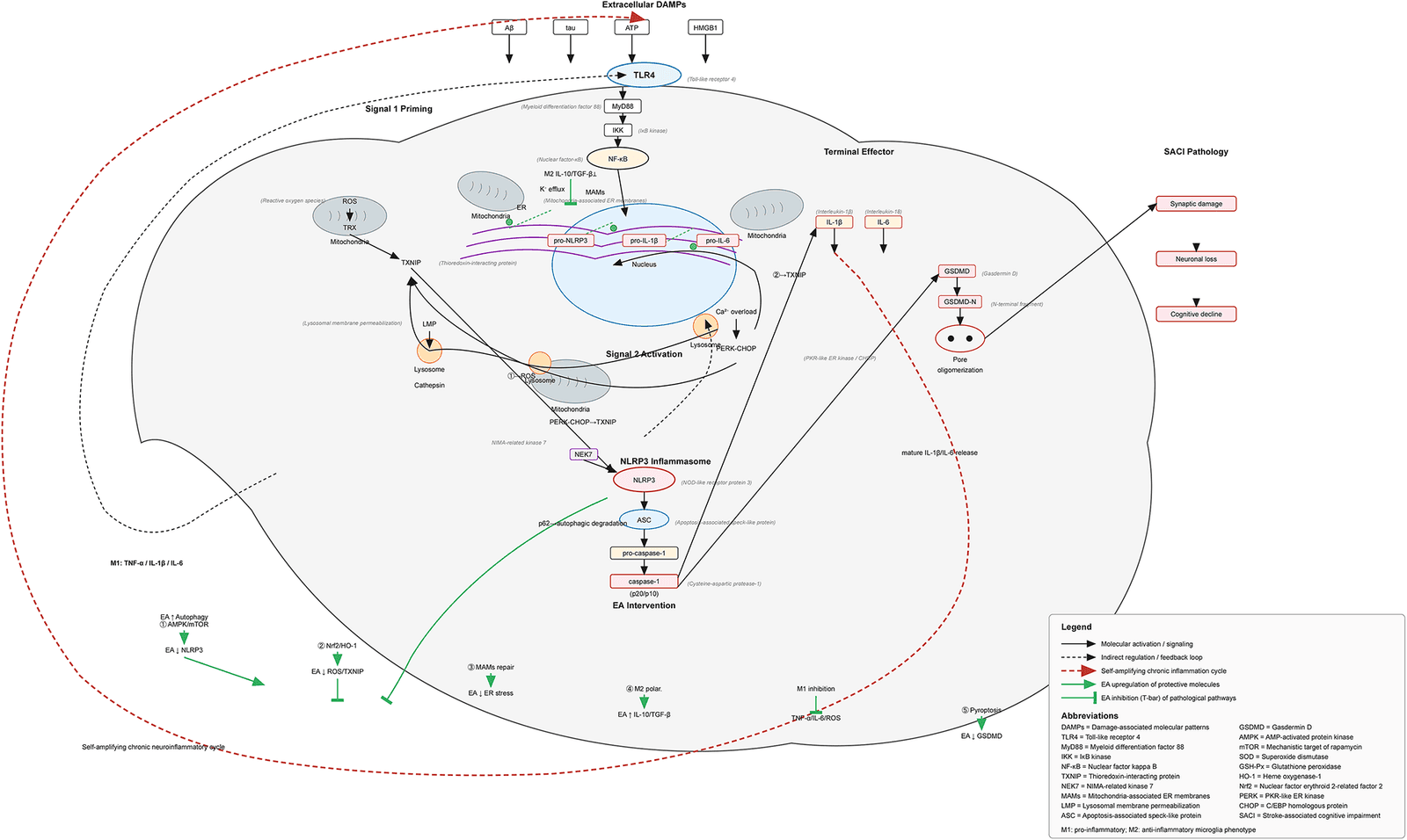 Figure 1 from Neurochemical Research